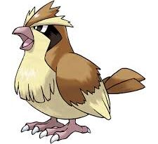 Pidgey